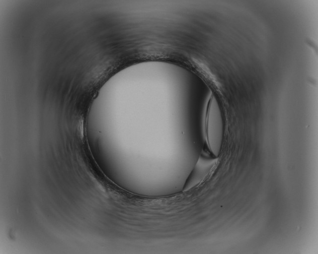 X0000091310021200708311406