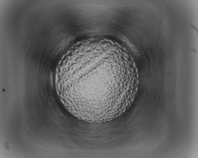 X0000091310022200708311406