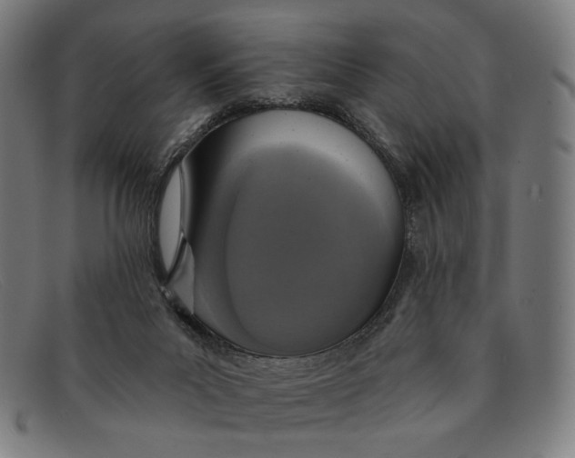 X0000091310023200708311406