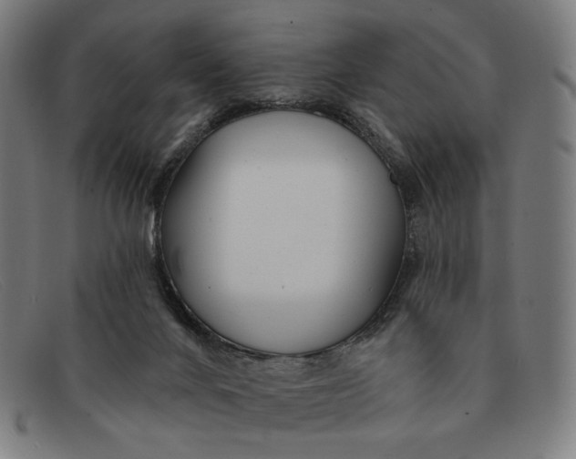 X0000091310024200708311406