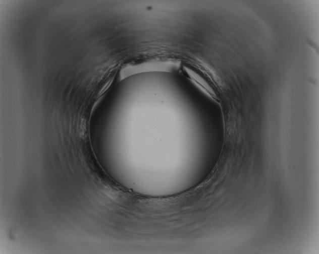 X0000091310025200708311406