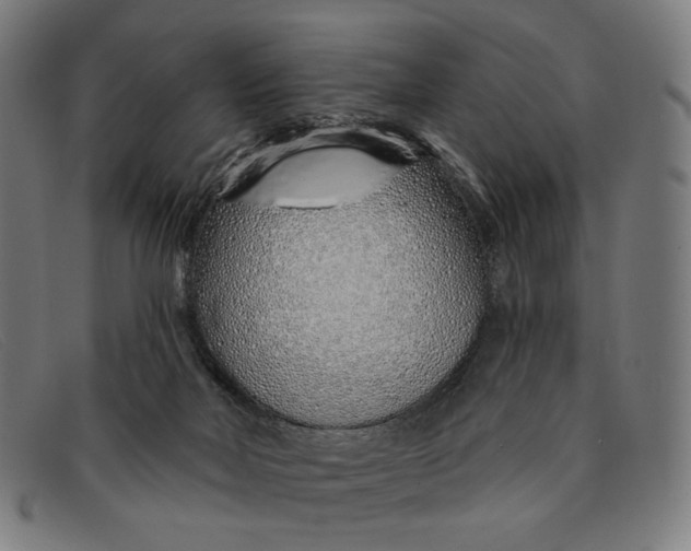 X0000091310026200708311406