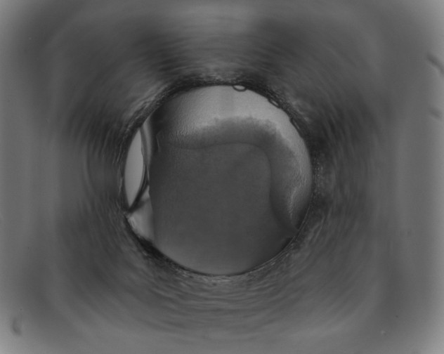 X0000091310027200708311406