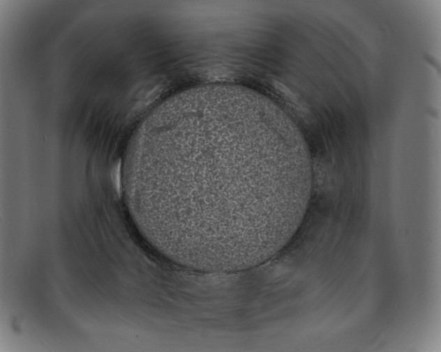 X0000091310028200708311406