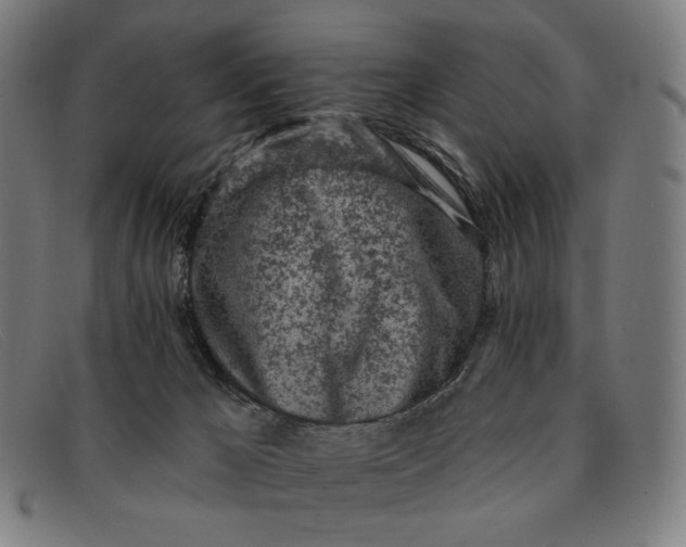 X0000091310029200708311406