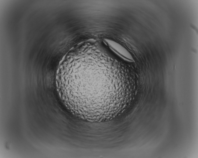 X0000091310030200708311406