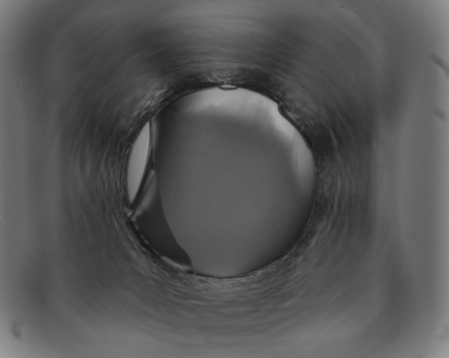 X0000091310031200708311406