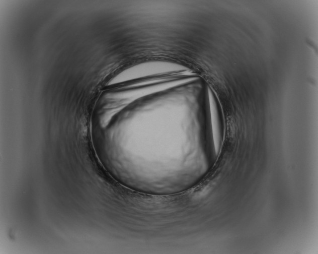 X0000091310032200708311406