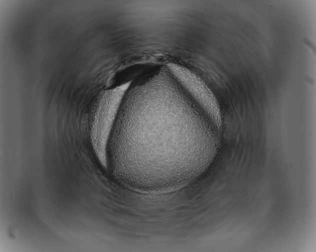 X0000091310034200708311406