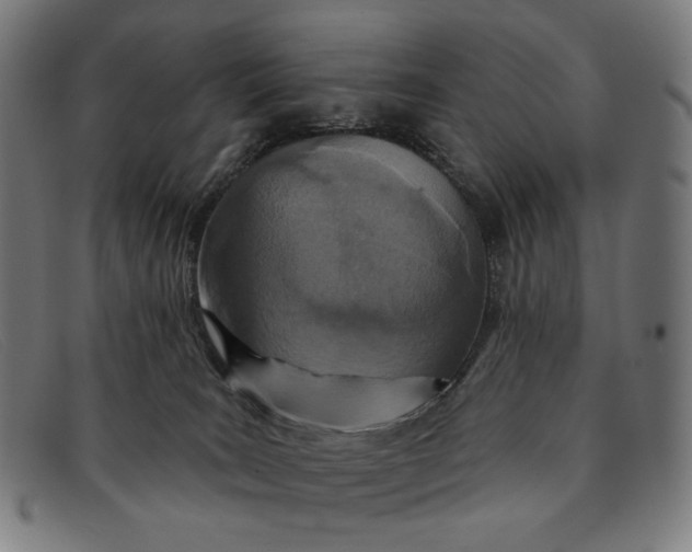 X0000091310035200708311406