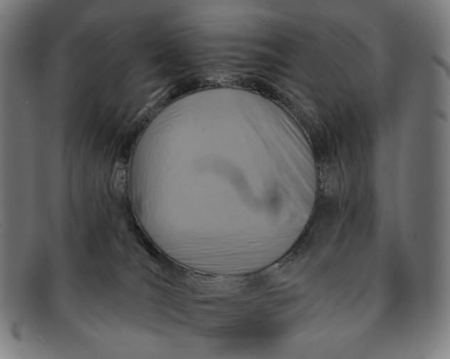 X0000091310036200708311406