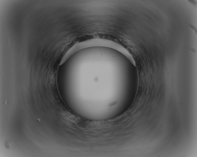 X0000091310037200708311406