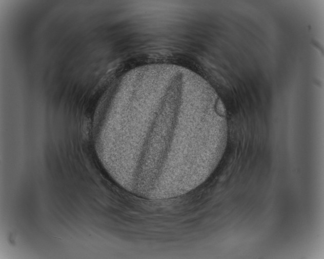 X0000091310038200708311406