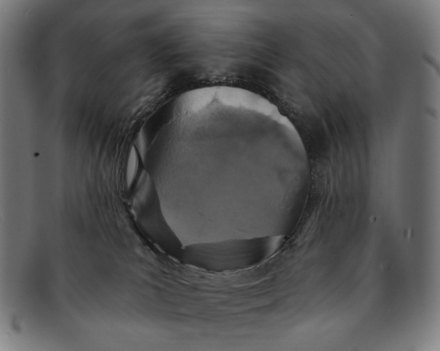 X0000091310039200708311406