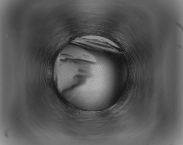 X0000091310040200708311406