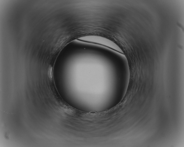 X0000091310041200708311406