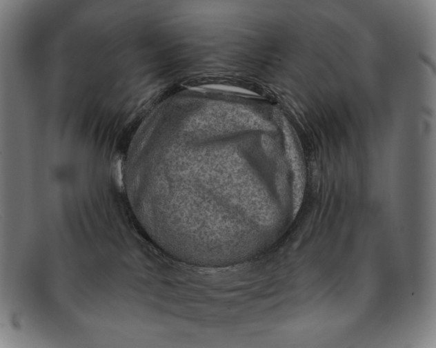 X0000091310042200708311406