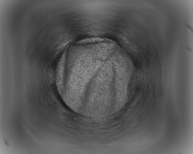 X0000091310043200708311406