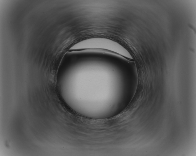 X0000091310044200708311406