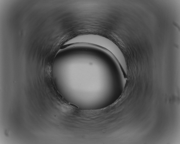 X0000091310045200708311406