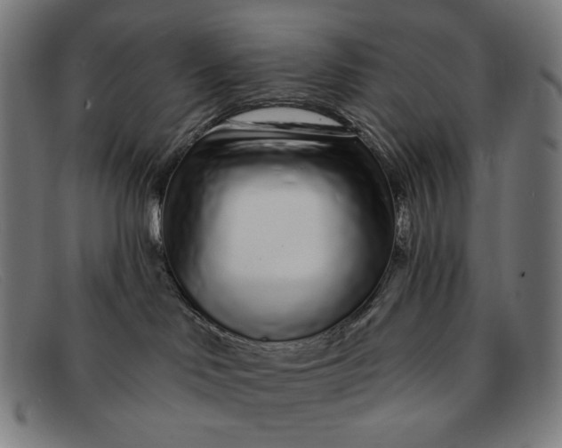 X0000091310046200708311406