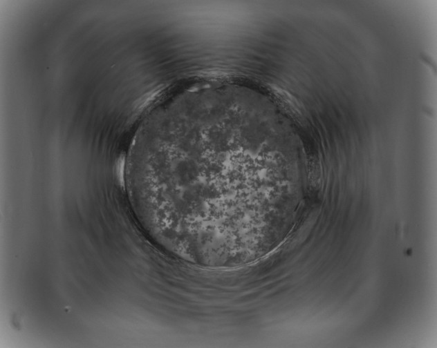 X0000091310047200708311406