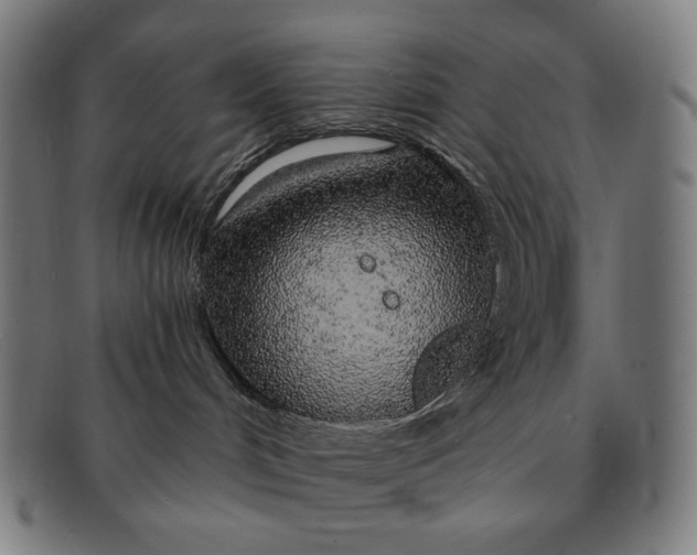 X0000091310048200708311406