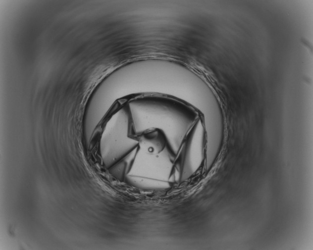 X0000091310049200708311405