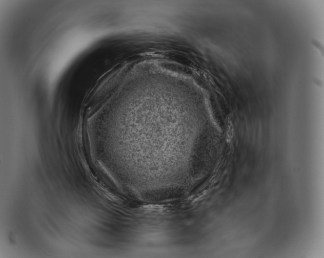 X0000091310052200708311405