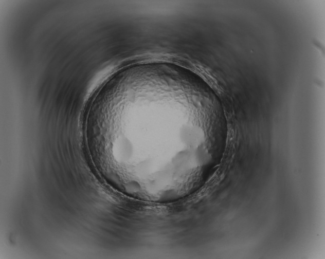 X0000091310053200708311405