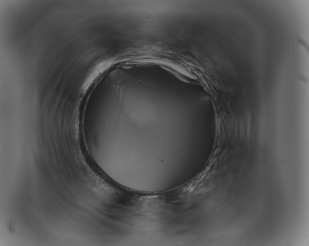 X0000091310054200708311405