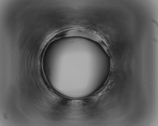 X0000091310055200708311405