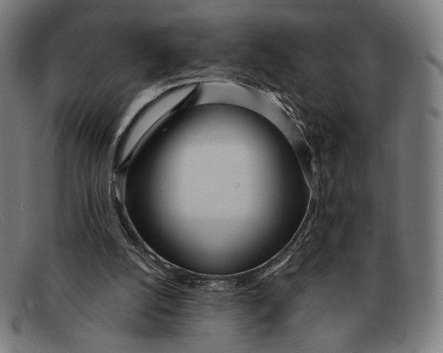 X0000091310056200708311405