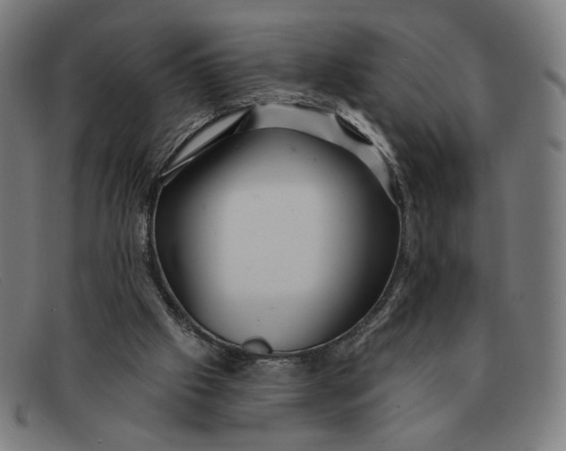 X0000091310057200708311405