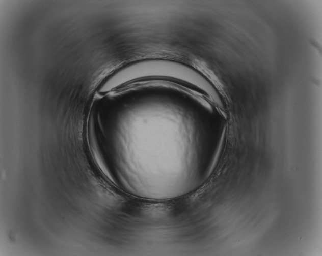 X0000091310058200708311405