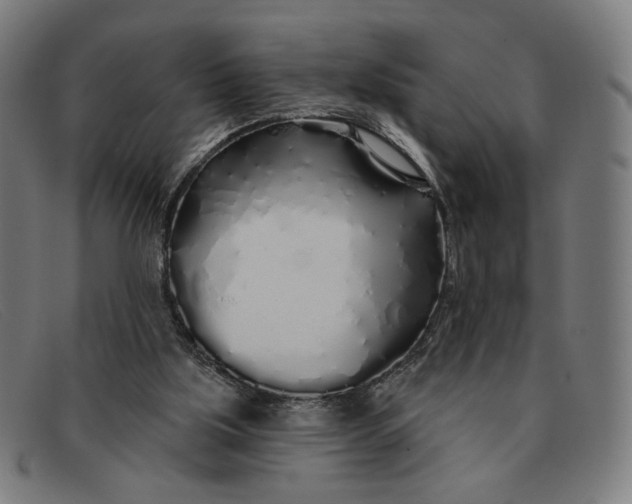 X0000091310059200708311405