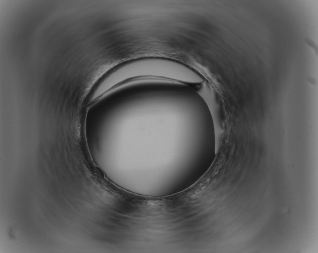 X0000091310060200708311405