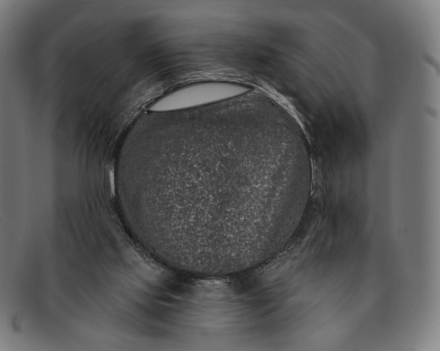 X0000091310061200708311405