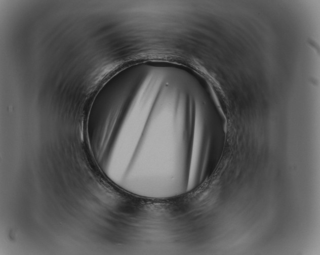 X0000091310062200708311405