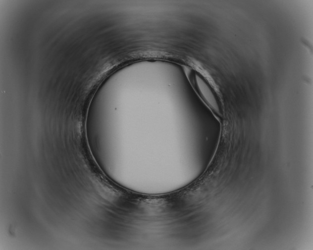 X0000091310063200708311405