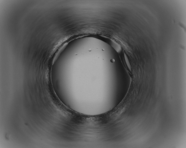 X0000091310064200708311405