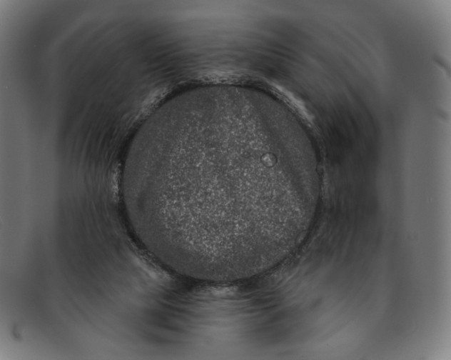 X0000091310065200708311405