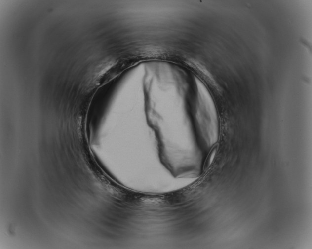 X0000091310066200708311405