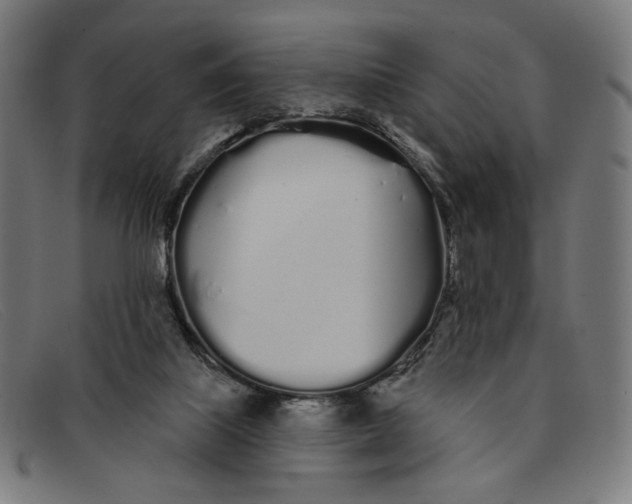 X0000091310067200708311405