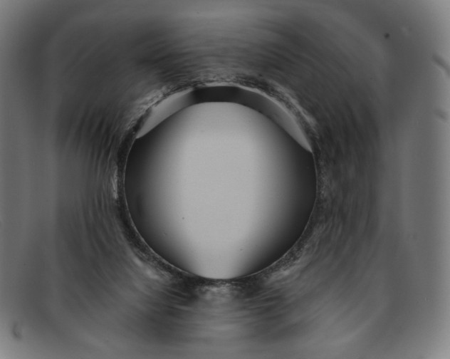 X0000091310068200708311405