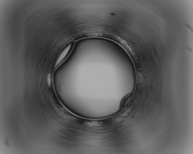 X0000091310069200708311405