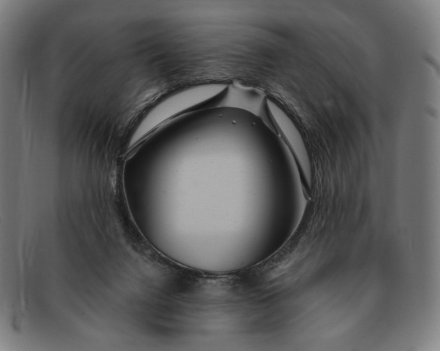 X0000091310072200708311405