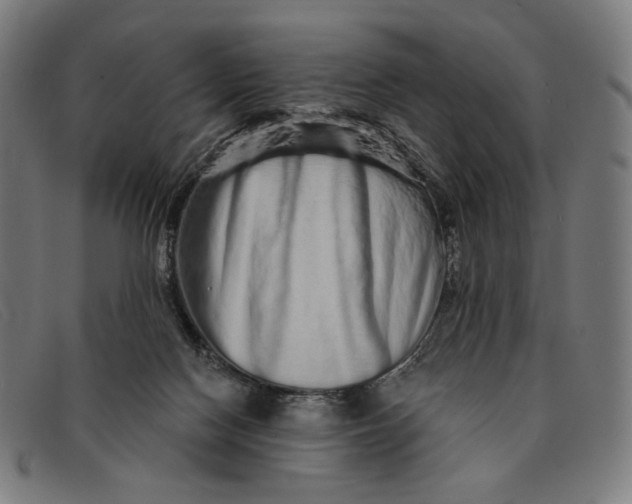 X0000091310074200708311405