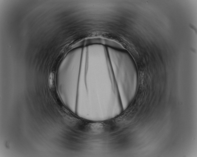 X0000091310075200708311405