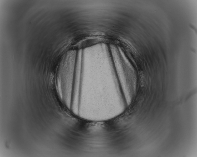 X0000091310077200708311405